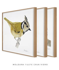 Imagem do Conjunto de Três Quadros Decorativos Pássaros em Aquarela, Martim Pescador + Chapim-de-crista