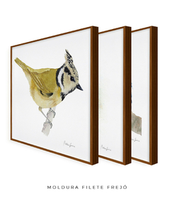 Conjunto de Três Quadros Decorativos Pássaros em Aquarela, Martim Pescador + Chapim-de-crista