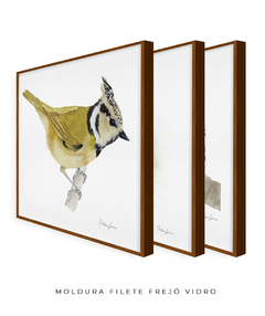 Conjunto de Três Quadros Decorativos Pássaros em Aquarela, Martim Pescador + Chapim-de-crista - comprar online