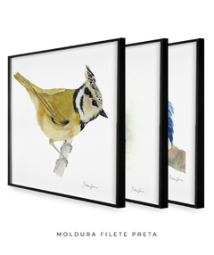 Conjunto de Três Quadros Decorativos Pássaros em Aquarela, Martim Pescador + Chapim-de-crista na internet