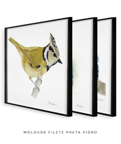 Conjunto de Três Quadros Decorativos Pássaros em Aquarela, Martim Pescador + Chapim-de-crista - Betania Sensini | Arte e Aquarela