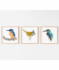 Conjunto de Três Quadros Decorativos Pássaros em Aquarela, Martim Pescador + Chapim-de-crista