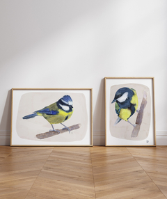 Gallery Wall - Conjunto de Dois Quadros Decorativos Chapim-Azul
