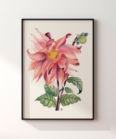 Quadro Decorativo Botânico Dália