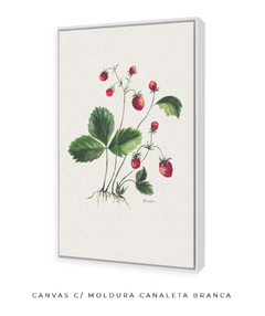 Quadro Decorativo Botânico Morangos - loja online