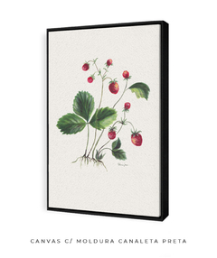 Quadro Decorativo Botânico Morangos - comprar online