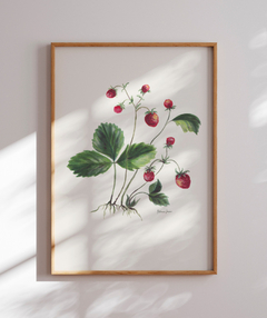 Quadro Decorativo Botânico Morangos na internet