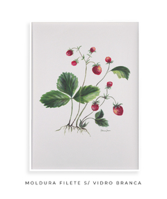 Quadro Decorativo Botânico Morangos na internet