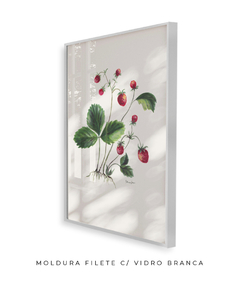 Quadro Decorativo Botânico Morangos - Betania Sensini | Arte e Aquarela