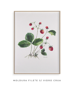 Quadro Decorativo Botânico Morangos - loja online