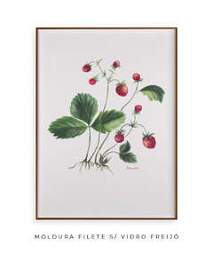 Quadro Decorativo Botânico Morangos