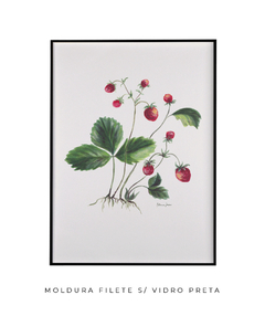 Quadro Decorativo Botânico Morangos na internet