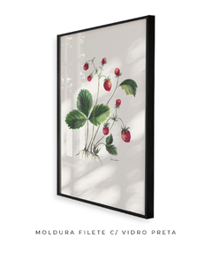 Quadro Decorativo Botânico Morangos - Betania Sensini | Arte e Aquarela