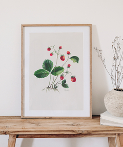 Quadro Decorativo Botânico Morangos