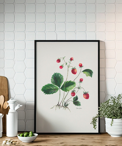 Quadro Decorativo Botânico Morangos - loja online
