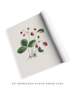 Quadro Decorativo Botânico Morangos - loja online