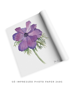 Quadro Decorativo Flor de Papoula N1 na internet