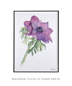 Quadro Decorativo Flor de Papoula N2 na internet