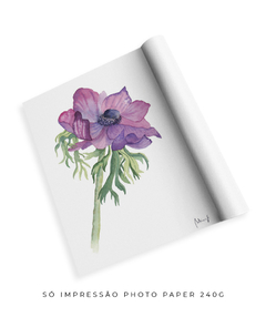 Quadro Decorativo Flor de Papoula N2 na internet