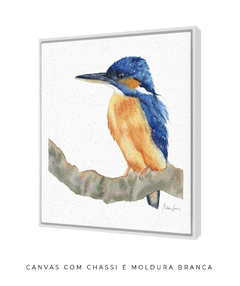 Quadro Decorativo Pássaro em Aquarela Martim Pescador na internet