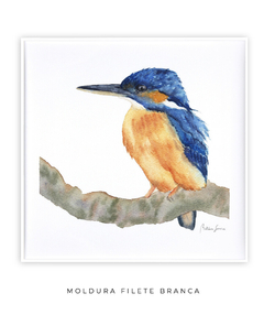 Quadro Decorativo Pássaro em Aquarela Martim Pescador na internet