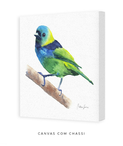 Quadro Decorativo Pássaro Saíra Sete Cores