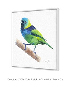 Quadro Decorativo Pássaro Saíra Sete Cores - Betania Sensini | Arte e Aquarela