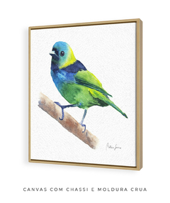 Quadro Decorativo Pássaro Saíra Sete Cores - loja online