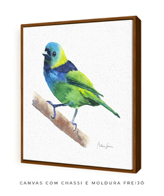 Imagem do Quadro Decorativo Pássaro Saíra Sete Cores