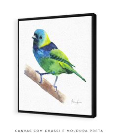 Quadro Decorativo Pássaro Saíra Sete Cores