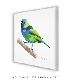 Quadro Decorativo Pássaro Saíra Sete Cores - Betania Sensini | Arte e Aquarela