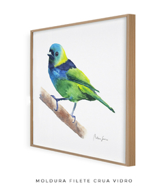 Imagem do Quadro Decorativo Pássaro Saíra Sete Cores