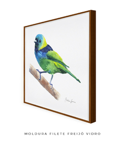 Quadro Decorativo Pássaro Saíra Sete Cores - comprar online