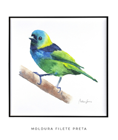 Quadro Decorativo Pássaro Saíra Sete Cores na internet