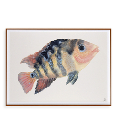 Quadro Decorativo Peixe - comprar online
