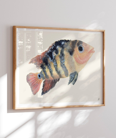 Quadro Decorativo Peixe - loja online