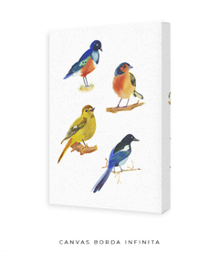 Quadro Decorativo Quatro Pássaros Coloridos - loja online