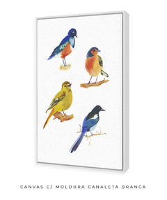 Quadro Decorativo Quatro Pássaros Coloridos