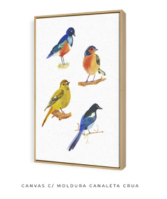 Quadro Decorativo Quatro Pássaros Coloridos - Betania Sensini | Arte e Aquarela