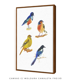 Quadro Decorativo Quatro Pássaros Coloridos - loja online