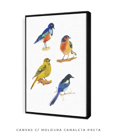 Imagem do Quadro Decorativo Quatro Pássaros Coloridos