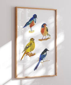 Quadro Decorativo Quatro Pássaros Coloridos na internet