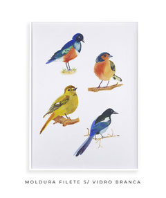 Quadro Decorativo Quatro Pássaros Coloridos na internet