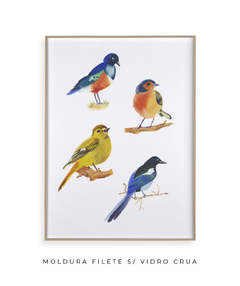 Quadro Decorativo Quatro Pássaros Coloridos - loja online