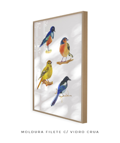 Imagem do Quadro Decorativo Quatro Pássaros Coloridos