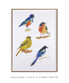 Quadro Decorativo Quatro Pássaros Coloridos