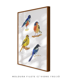 Quadro Decorativo Quatro Pássaros Coloridos - comprar online