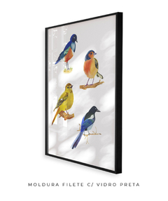 Quadro Decorativo Quatro Pássaros Coloridos - Betania Sensini | Arte e Aquarela