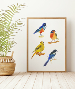 Quadro Decorativo Quatro Pássaros Coloridos