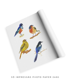 Quadro Decorativo Quatro Pássaros Coloridos na internet